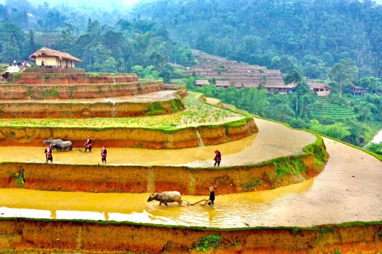 Hoang Su Phi Bungalow Bagian luar foto