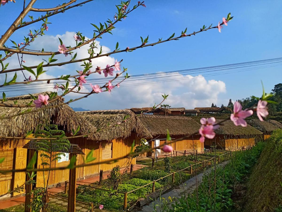 Hoang Su Phi Bungalow Bagian luar foto
