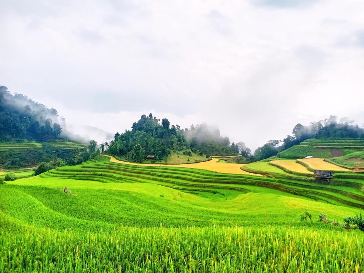 Hoang Su Phi Bungalow Bagian luar foto