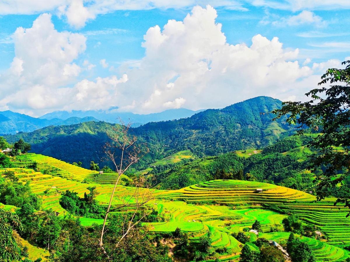 Hoang Su Phi Bungalow Bagian luar foto