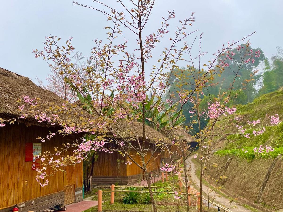 Hoang Su Phi Bungalow Bagian luar foto